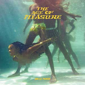 Janelle Monáe《The Age of Pleasure》「2023」[无损FLAC/MP3]