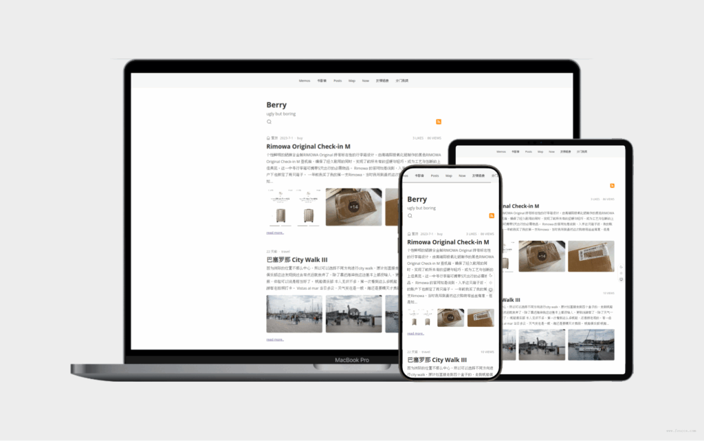 一款非常好看的简洁单栏wordpress主题BERRY 2.0.8 开源版免费分享 - 狐狸资源网