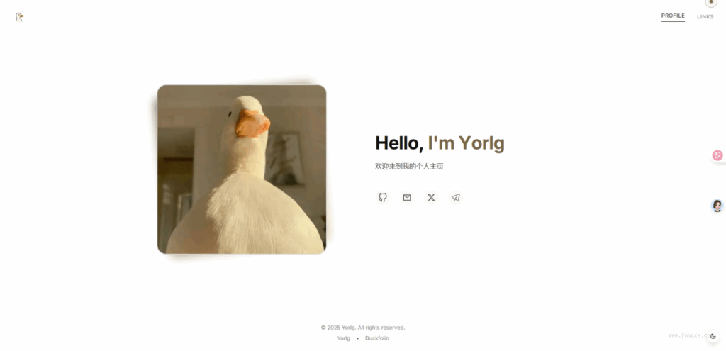 Duckfolio：简洁、现代、有趣的个人主页模板「附带HTML页」 - 狐狸资源网