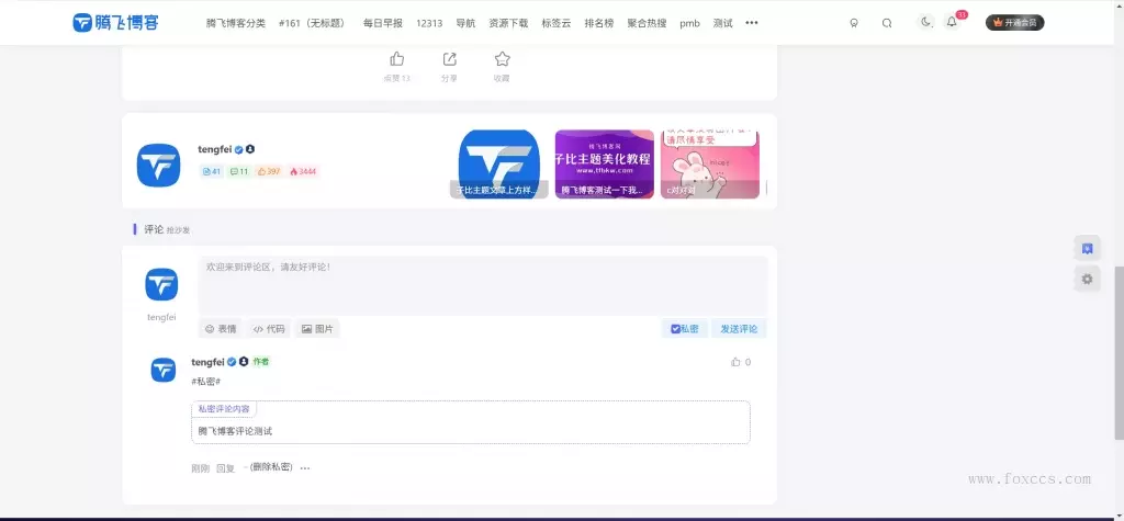 子比主题 – 新版私密评论功能 - 狐狸资源网